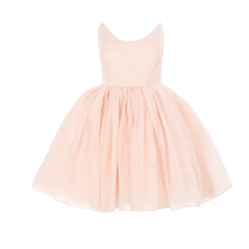 NWT Selkie The Blush Veuve Mini Dress - Picture 2 of 5